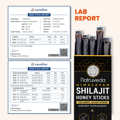 Shilajit Honey Sticks –  Pure Himalayan Shilajit Resin Infused with Natural Honey